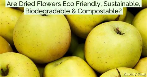 Are Flowers Compostable?