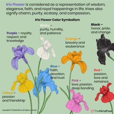 What Do Iris Flowers Symbolize?